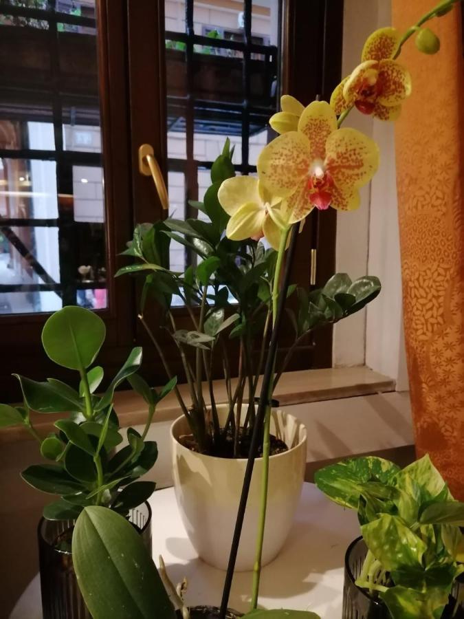Hotel Julia Roma Ngoại thất bức ảnh